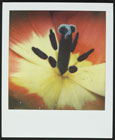 PX680B21895.jpg