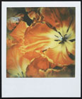 PX680B21942.jpg