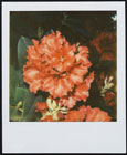 PX680B21943.jpg